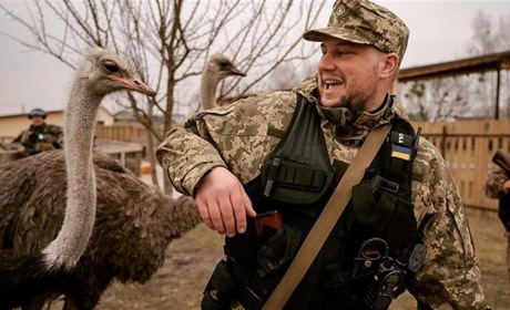 Місія здійсненна: з сімейного еко-парку в Ясногородці евакуювали всіх тварин
