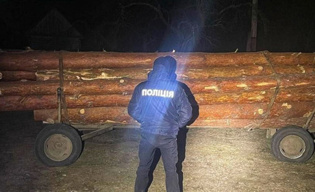 Двоє трактористів із Сарненського району нелегально зрубали сосни