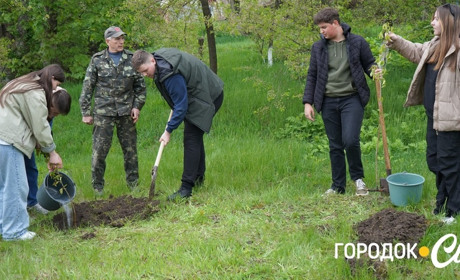 «Моє дерево Перемоги». Учні Городоцького ліцею №1 долучилися до Всесвітнього дня Землі