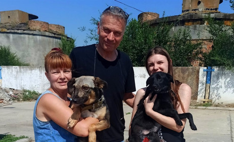 Зооволонтери Польщі та Німеччини допомогли нікопольському притулку для тварин з евакуацією собак