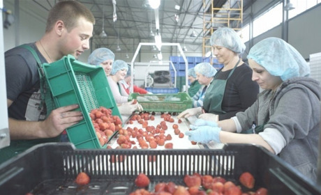 Відбувся аукціон та підписаний договір. У Біляївці може з'явитися ягідно-плодовий кластер