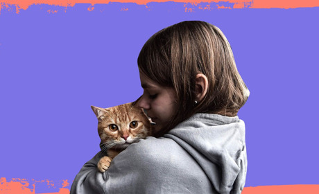 Я дуже люблю своє життя. Реальні історій евакуації