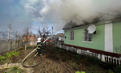 На Черкащині співробітники ДСНС врятували собаку під час ліквідації пожежі