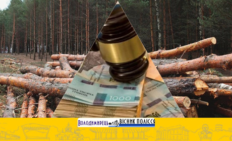 За незаконне вирубування лісу Дубровицька громада відшкодує державі майже 5 млн грн збитків