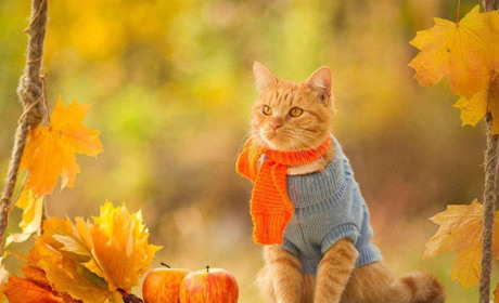 Ночі будуть прохолодними, денна температура - вище кліматичної норми: прогноз погоди