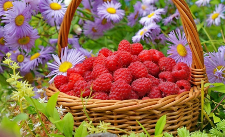 До кінця тижня на Сумщині трохи дощитиме: прогноз погоди