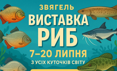 Вперше у Звягелі: пориньте у дивовижний підводний світ