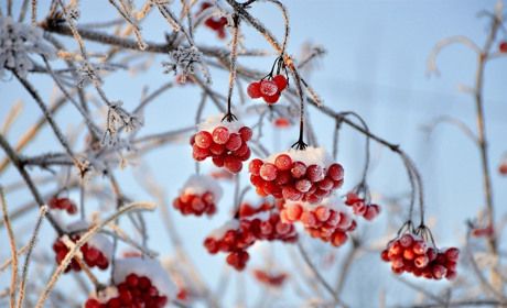 Якою буде погода у Сватовому і районі у перші дні січня 2021: прогноз з 4 по 10 січня