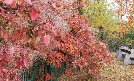 На вас чекає гра «Збери пазли від Мелітополь.Сіty»