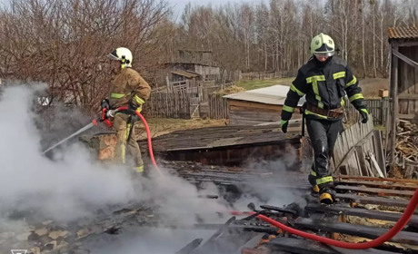 Звягельський район: в господарчій будівлі на сімох власників сталася пожежа
