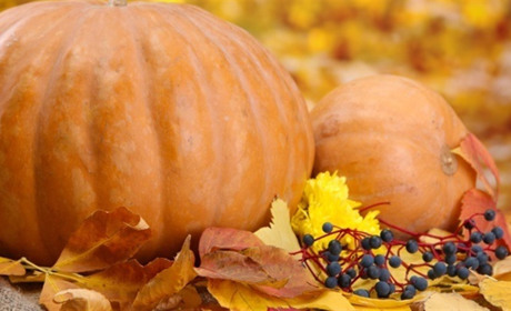 Как провести выходные в Мелитополе и Мелитопольском районе 20-21 октября