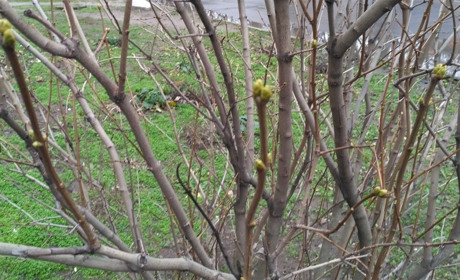 Кто купается зимой? Декабрь в Мелитополе теплый, но пока без рекорда