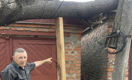 Ситуація. У центрі Корюківки, в дворі двоповерхівок, буревій повалив дерево. А прибрати його нікому
