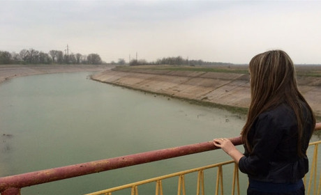 Декабрьская гибель в оросительном канале