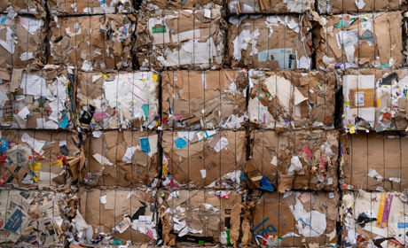 Коли у Сватовому у серпні 2021 вивозитимуть сміття від приватного сектору: графік