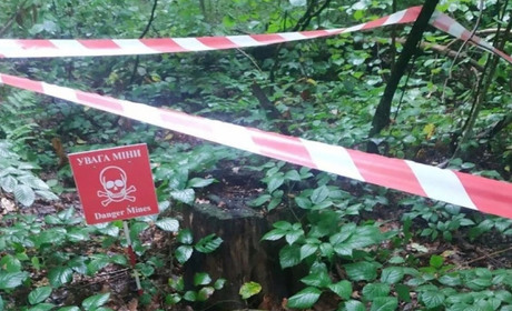 Сезон грибів та ягід: чому відвідування лісів на Шосткинщині несе небезпеку