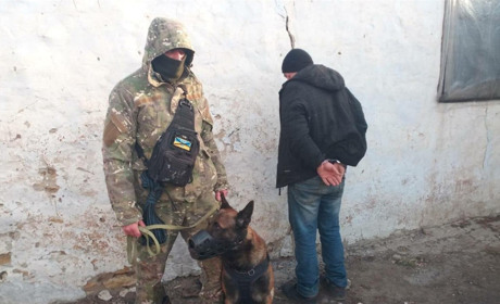 Херсонський «Комісар Рекс» затримав серійного крадія. Розповідаємо про поліцейського пса Лаккі