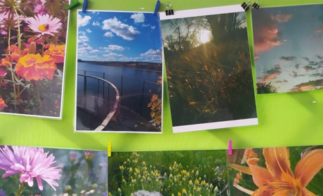 Працює виставка фоторобіт учнів та учениць Троїцького ліцею