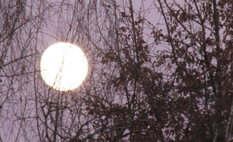 Знаете ли вы, что сегодня самое длительное лунное затмение