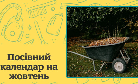 Посівний календар на жовтень 2025 року: коли працювати на городі