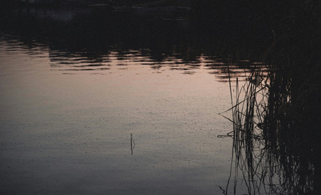 Не тільки користуються, а й дбають: кагарлицьке товаристово "Рибалка" зарибило ставок