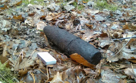 У лісі біля села Балаховичі піротехніки знешкодили артилерійський снаряд часів Другої Світової війни