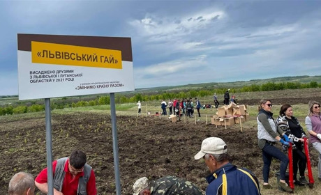 У Сватівському районі тепер є два «Львівські гаї»: у них висадили близько 10 тисяч саджанців сосни