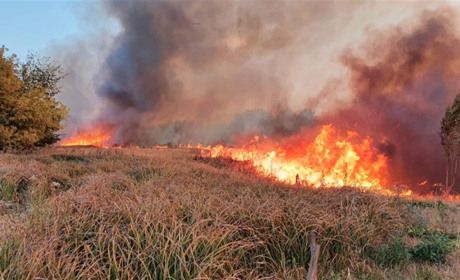 На Сватівщині працює оперативна група з виявлення паліїв сухої рослинності: як ловитимуть порушників