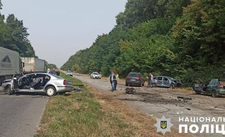 В масштабній автотрощі на Житомирщині постраждав житель Звягеля