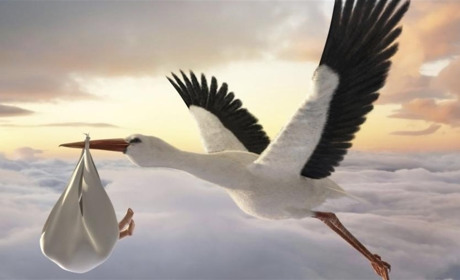 Останній торік і перший у 2020 на Білопільщині - хлопчики