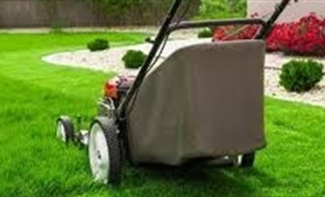 Как выбрать газонокосилку в интернет-магазине электроники, опираясь на базовые характеристики