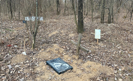 Як виглядає кладовище домашніх улюбленців у Жовтих Водах та яку загрозу становить: відео