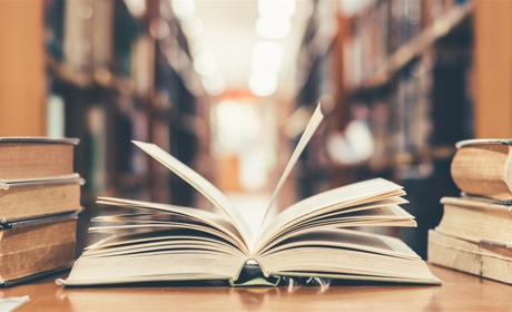 Половлівська бібліотека – у числі кращих