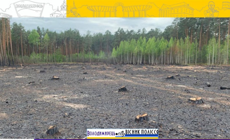 За лісову пожежу в Цепцевицькому лісництві порушника оштрафували екоінспектори
