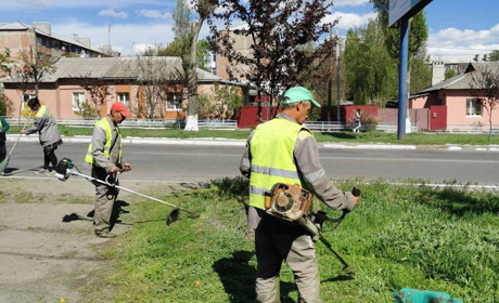 У місті розпочався сезонний покіс трави