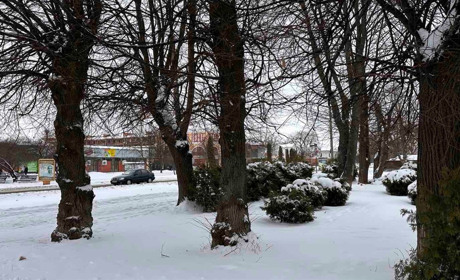 Погода у Старокостянтинові на 23-28 січня: очікується відлига