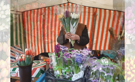 Скільки коштують тюльпани у Гадячі напередодні 8 березня: ціни вже кусаються