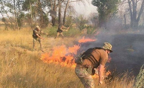 У пожежах на Луганщині зафіксовано 24 осередки займання: що відомо на ранок 3 вересня