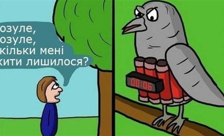 Розрахуй очікувану тривалість життя: Центр громадського здоров’я МОЗ створив «Калькулятор життя»