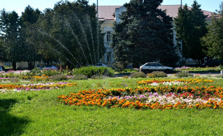 Стали відомі кращі господині-квітникарки конкурсу «Моя квітуча Золотоноша»