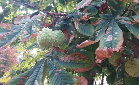 Как провести выходные в Мелитополе и Мелитопольском районе 15-16 сентября