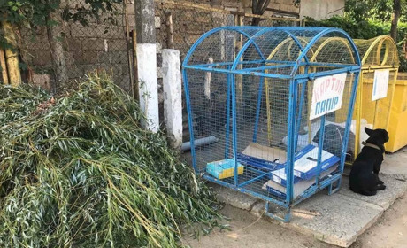 У Біляївській громаді нагадують про сплату за вивіз сміття: як розрахуватися