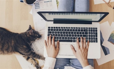 Фріланс-біржі в Україні: як змінився ринок і де сьогодні вигідно працювати