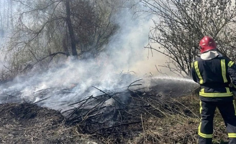 У Звягельському районі знову горить суха трава: вогонь ледь не дістався до ферми