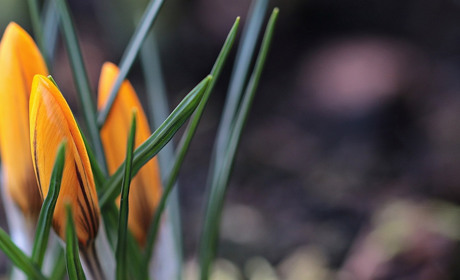 Якою буде погода на Сватівщині у перший тиждень квітня: прогноз з 5 по 11 квітня 2021