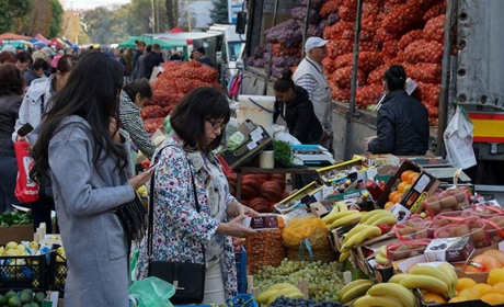 Ціни на ринку "Урожай" у Звягелі 19 жовтня: огляд вартості овочів, м'яса та фуражу