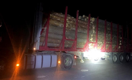 У Сарненському районі зупинили 24-річного перевізника нелегальної деревини