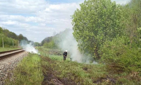Впродовж минулої доби рятувальники ліквідували дві пожежі сухої трави на Звягельщині