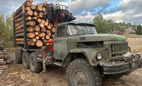 У Сарненському районі зупинили «ЗІЛ» з нелегальною сосною