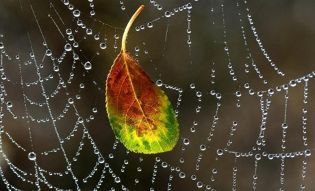 На початку наступного тижня синоптики прогнозують дощі та грози: погода на 8-10 вересня